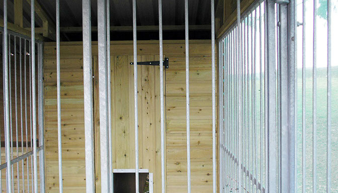 dog-kennels-made-to-order-uk-galvanised-mesh-runs-10-crop-u1148