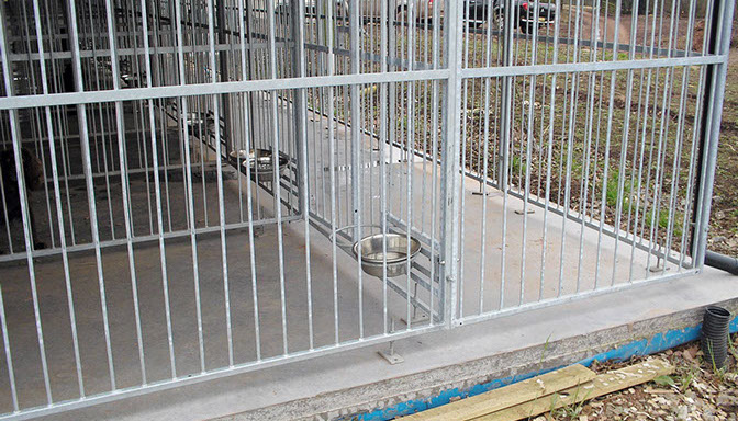 dog-kennels-made-to-order-uk-galvanised-mesh-runs-8-crop-u1130