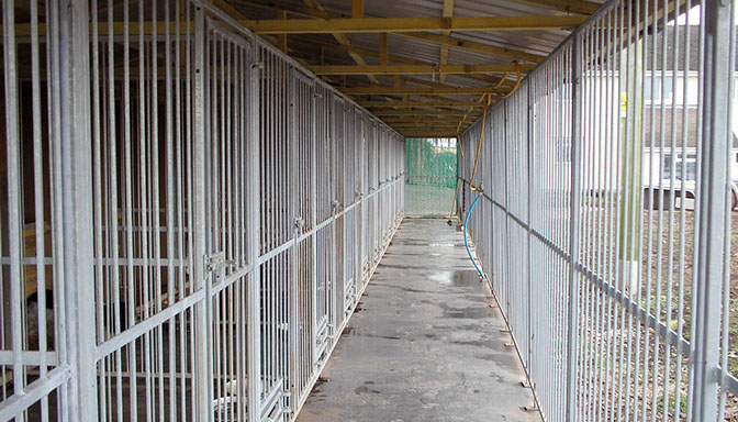 dog-kennels-made-to-order-uk-galvanised-mesh-runs-9-crop-u1139